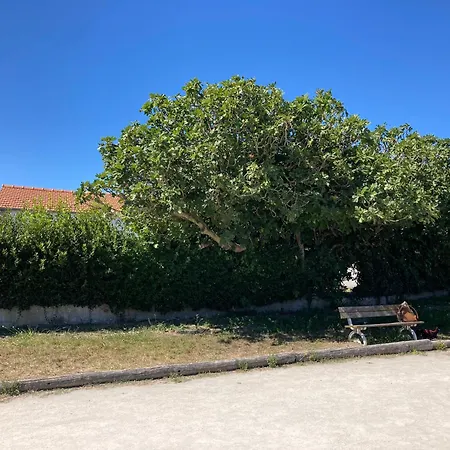 Les Figuiers N°2 - Repos Et Tranquillite Apartmán